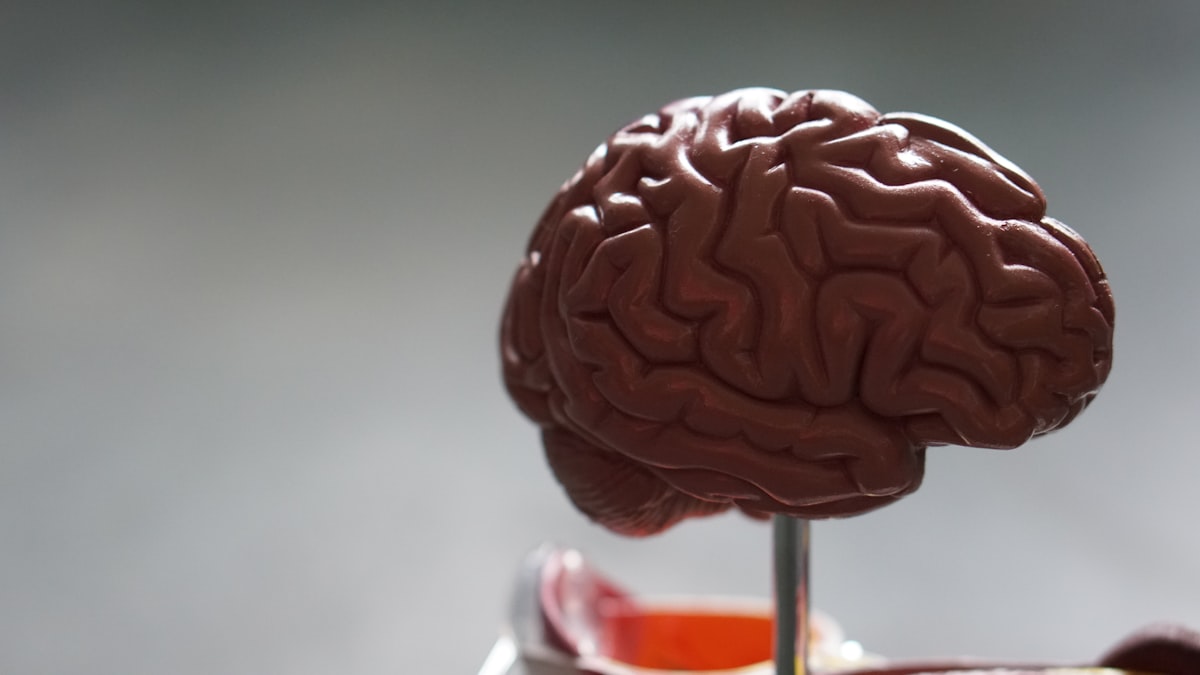 Advanced diagnostic imaging and MRI services at PainMed